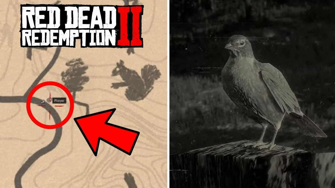 ROBIN RDR2