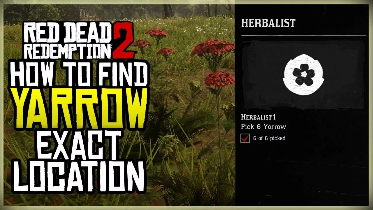 Yarrow RDR2