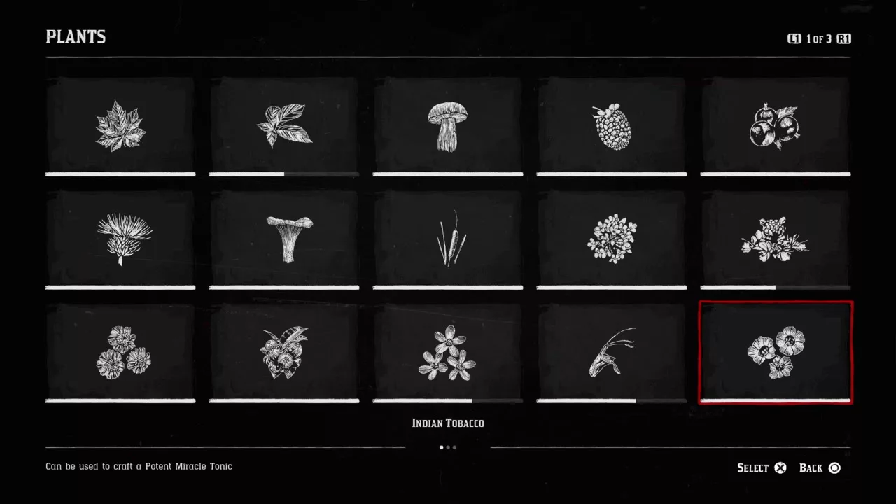 Currant RDR2 Location