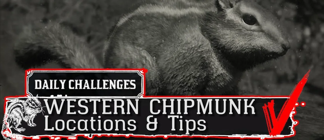 Chipmunk Location RDR2