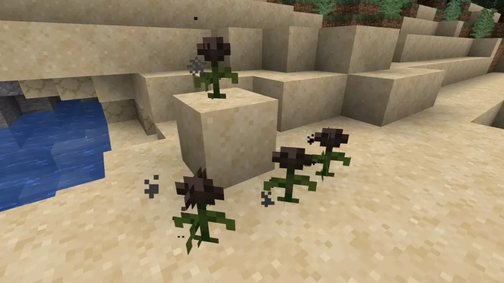Wither Rose
