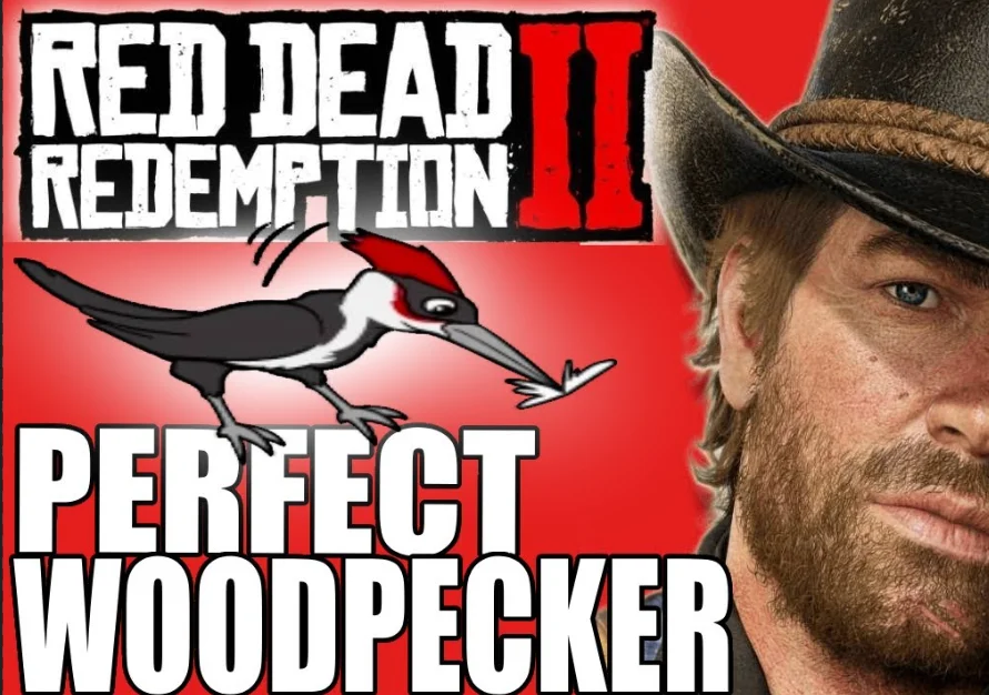 Woodpecker RDR2