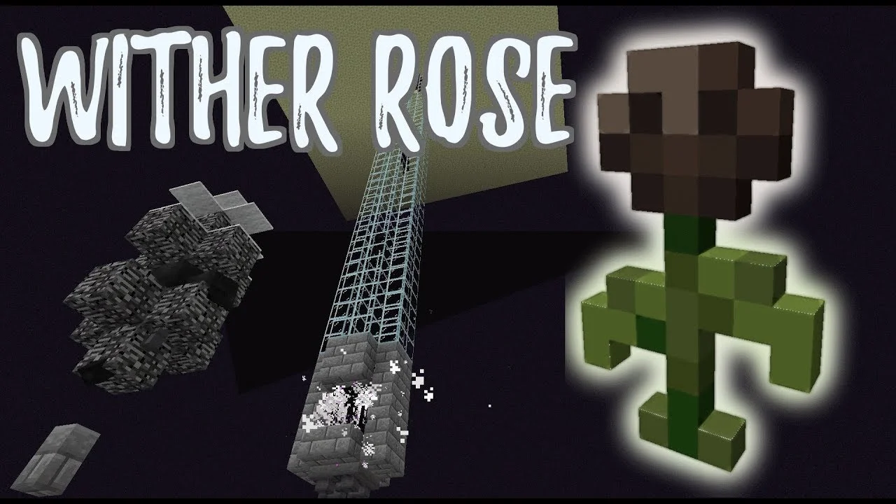 Wither Rose