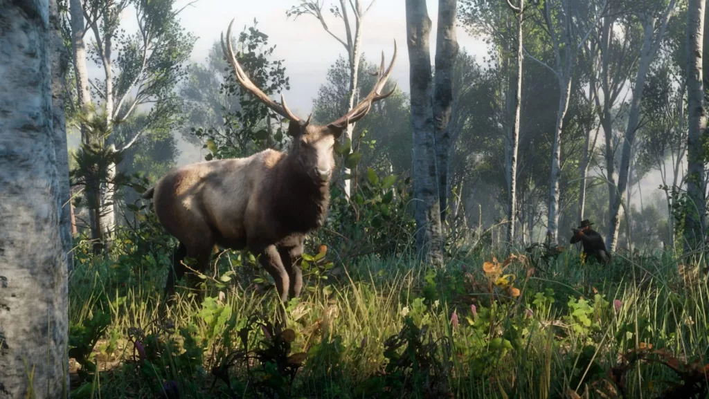 Elk Location RDR2
