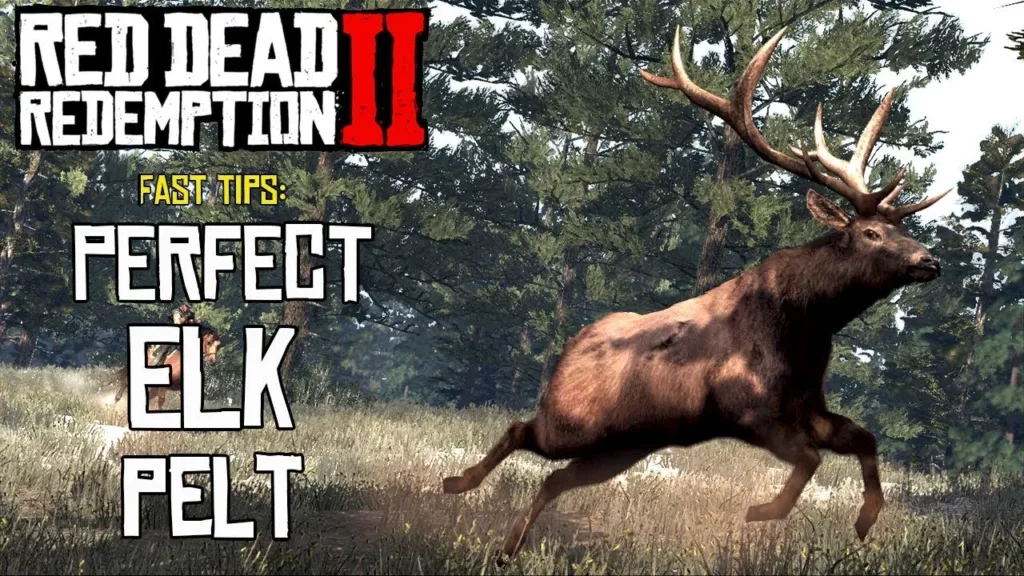 Elk Location RDR2