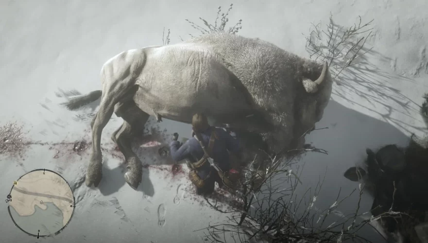 Legendary Bison RDR2 