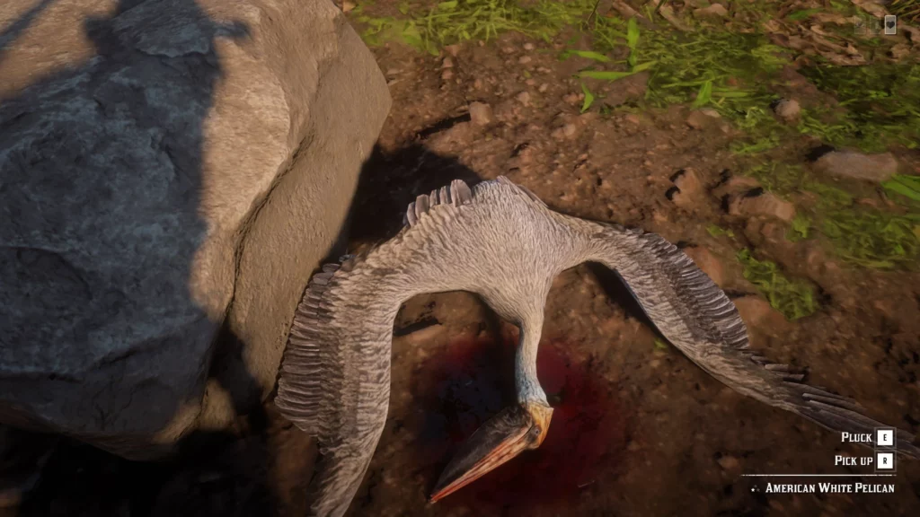 Exotic Bird Meat RDR2 