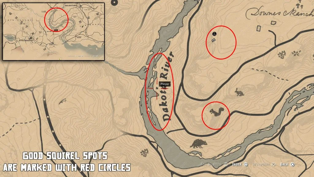 Squirrel Statue RDR2 
