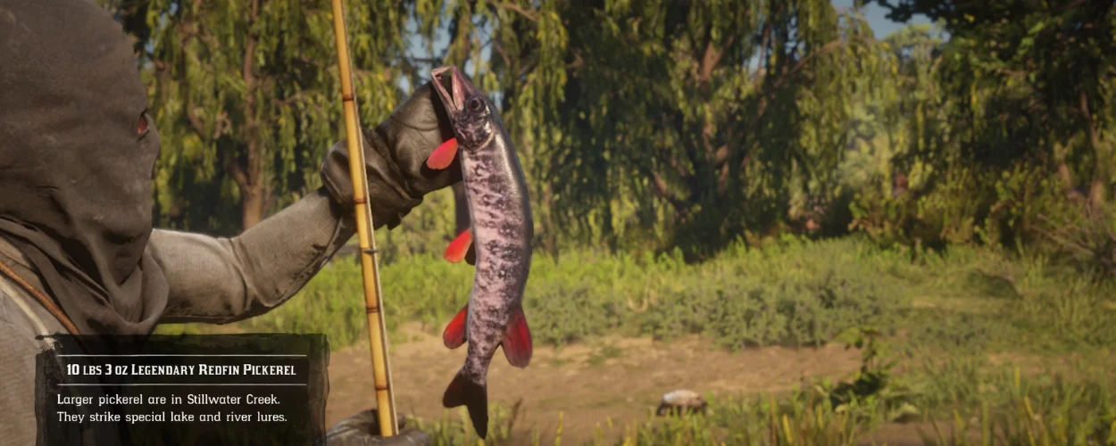 Redfin Pickerel RDR2
