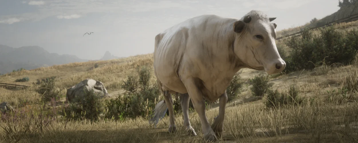 RDR2 Cow Location