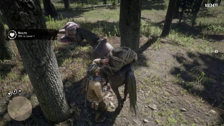 RDR2 Master Hunter 7