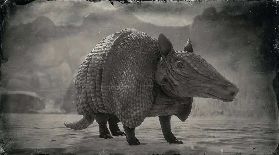 Nine Banded Armadillo RDR2