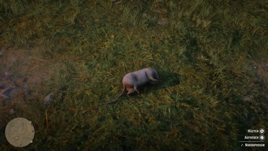 RDR2 Master Hunter 7