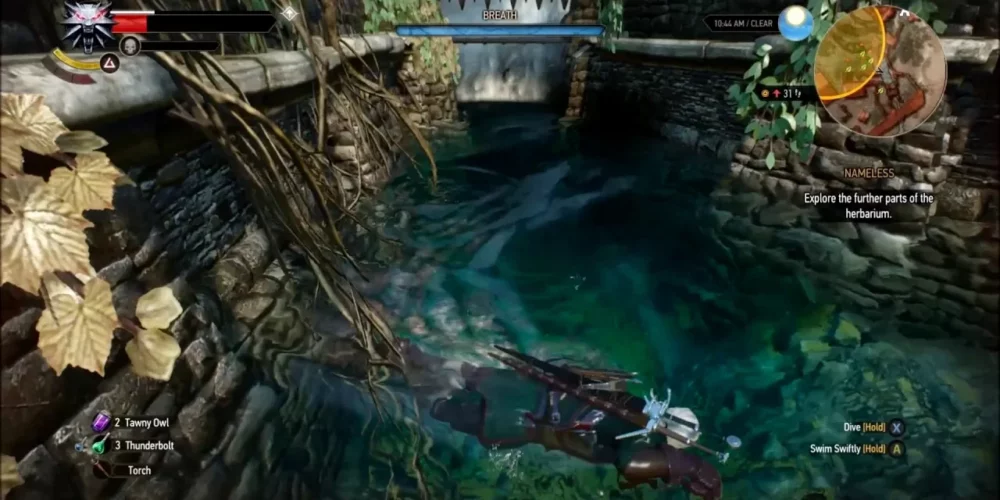 Witcher 3 Morkvarg Best Choice