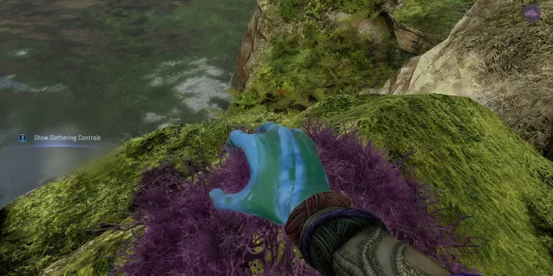 Where To Find Moss in Avatar Frontiers of Pandora